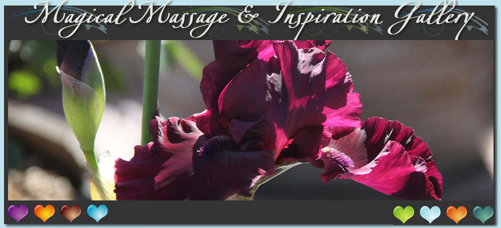 Sonoma Massage - About Us